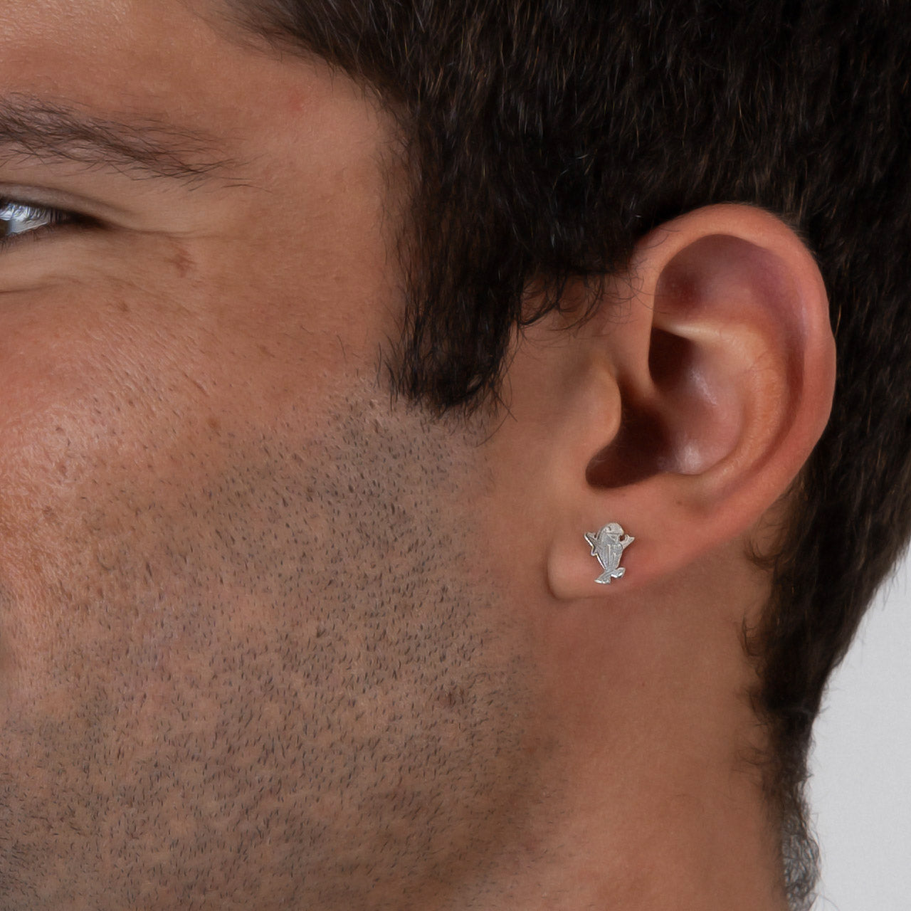 Ear Climbers / Crawlers